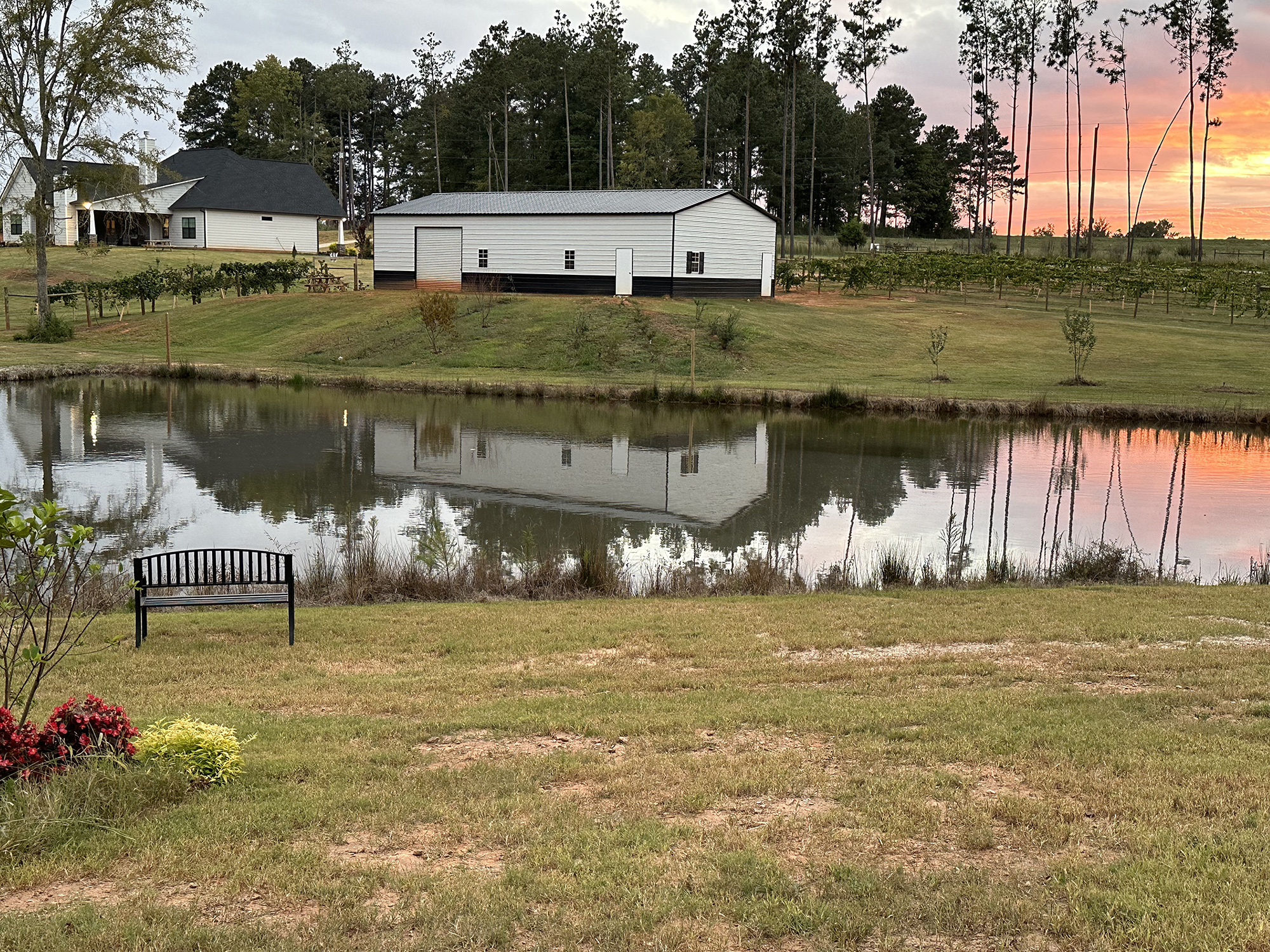 The pond, open field and market building at Wandalands Vineyard & Orchards