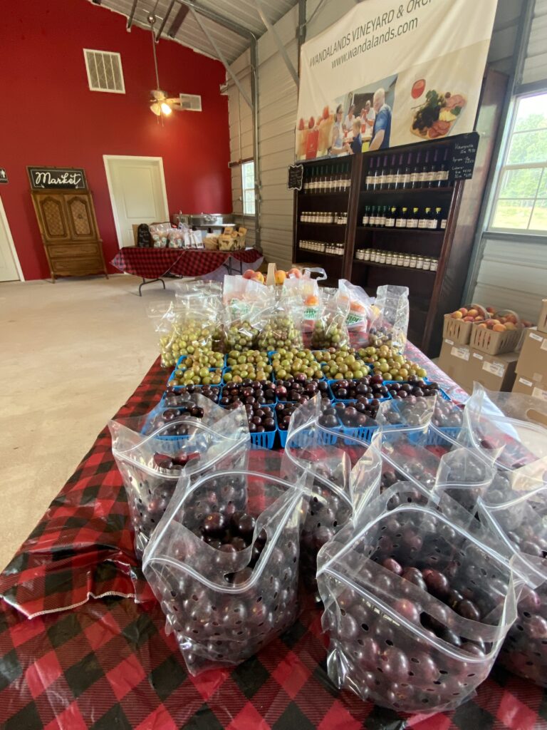 Baskets of muscadines and packaged farm goods laid out on the market tables at Wandalands