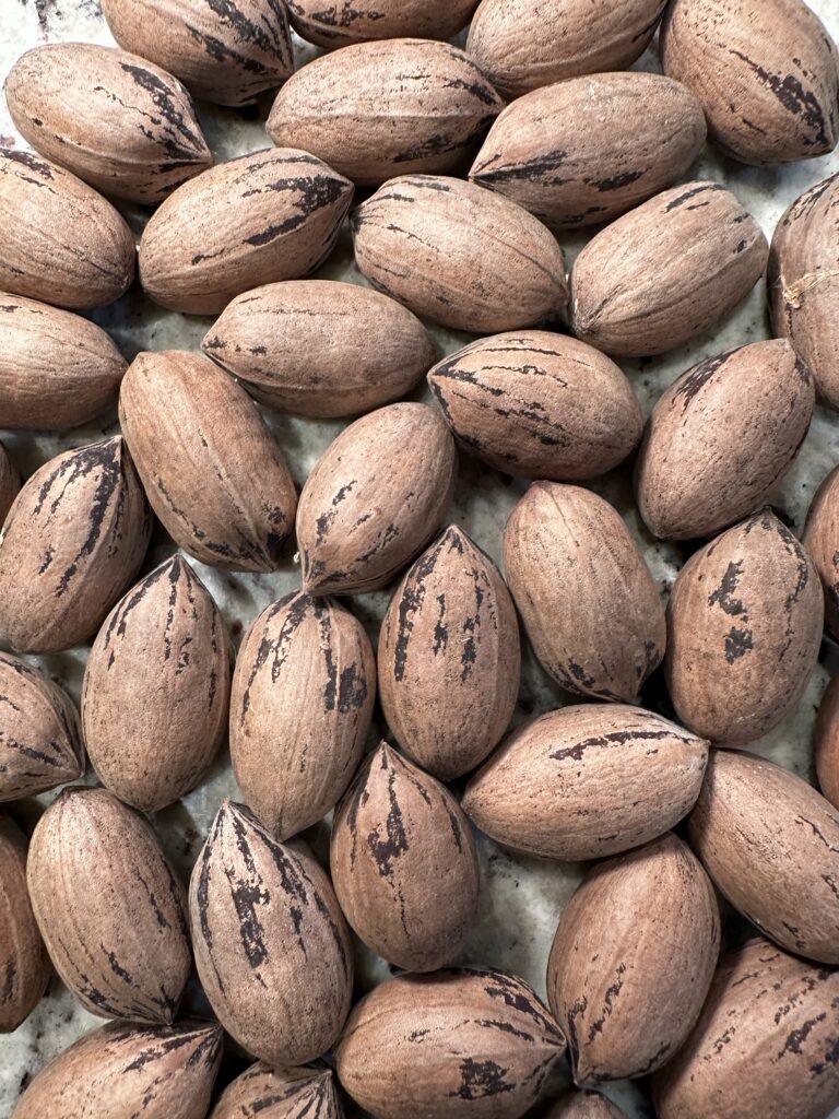 Whole in-shell pecans with naturally patterned brown shells