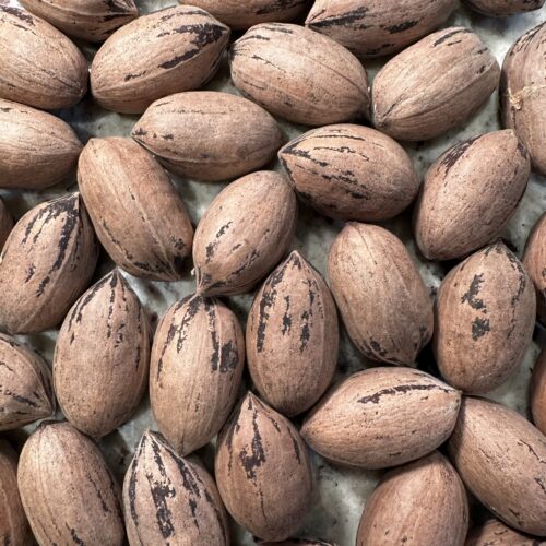 Whole in-shell pecans with naturally patterned brown shells