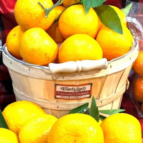 Basket of Georgia-grown citrus