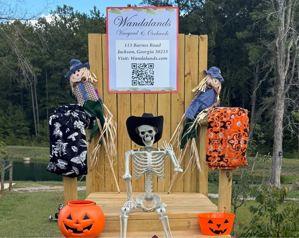 Boo! at the Vineyard