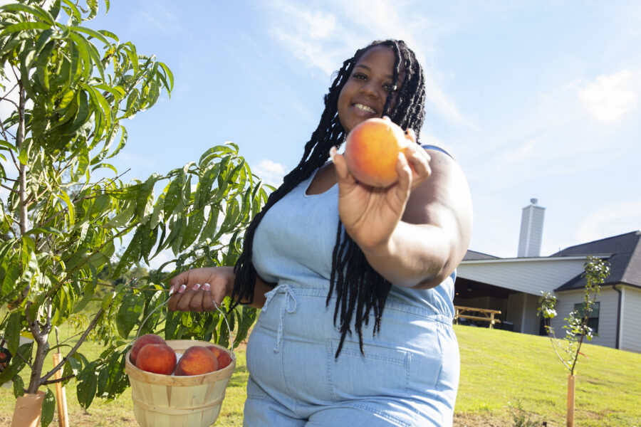 fresh fruit - georgia orchard